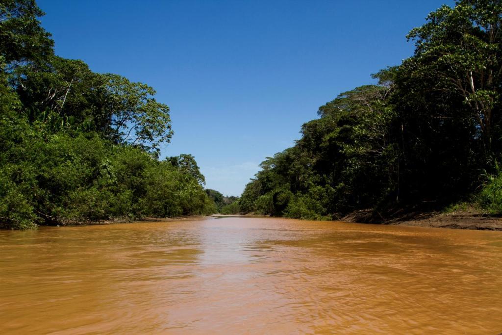 מלון Tambopata Amazon Planet מראה חיצוני תמונה